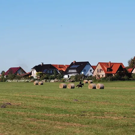 Dom wakacyjny Paradies An Der Mueritz Klink